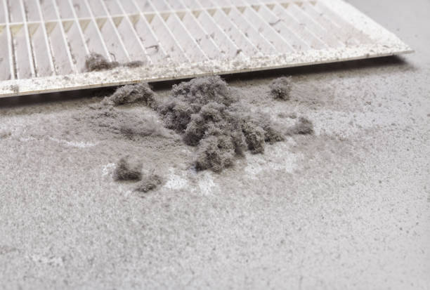 Best Professional Duct Cleaning Services  in Tiffin, IA