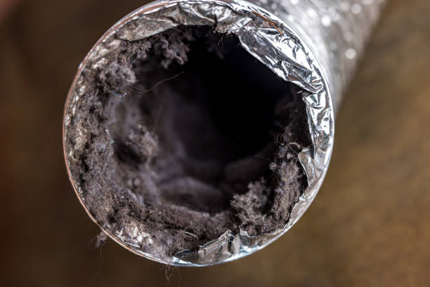 Best HVAC Air Duct Cleaning  in Tiffin, IA